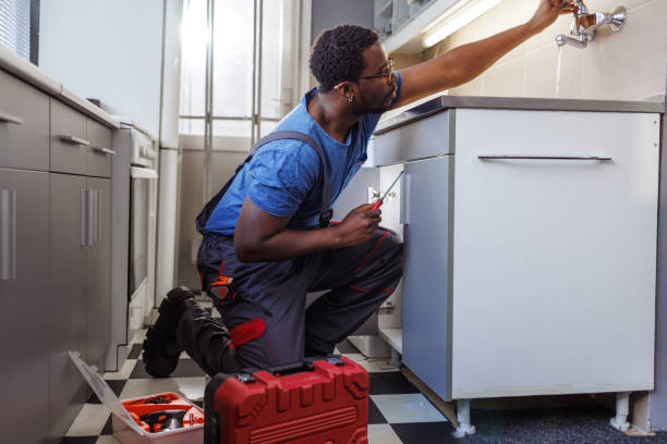 Best Clogged Drain Plumber  in Old Jamestown, MO
