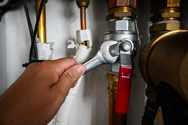 Best Same-Day Plumbing Service  in Old Jamestown, MO
